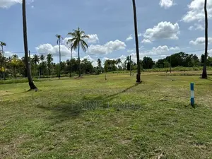 වාරියපොල නගරයට නුදුරින් සින්නක්කර බිම්කොටසක් විකිණීමට