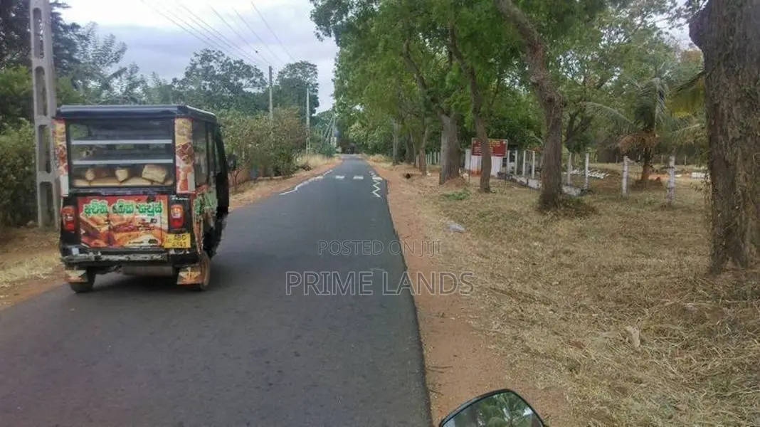 යොවුන් සේනාංකය ඉදිරිපිට බිම් කොටසක් පාළාඩිකුලම
