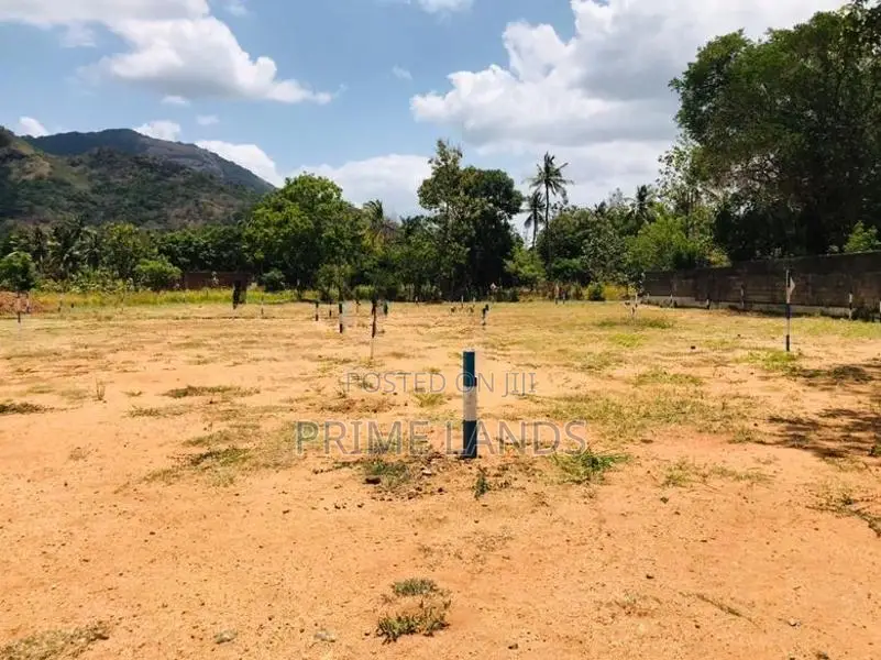 දඹූල්ල මාතලේ පාරෙන් බිම් කොටස්, පන්නම්පිටිය හන්දිය