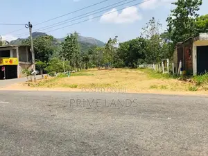 දඹූල්ල මාතලේ පාරෙන් බිම් කොටස්, පන්නම්පිටිය හන්දිය