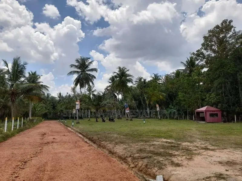 යාපන ප්‍රධාන පාරට කිට්ටුව සින්නක්කර ඉඩමක්
