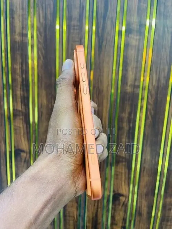 Apple iPhone 17 Pro Max (Used)