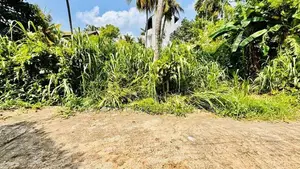 Kadawatha Best Land for Sale