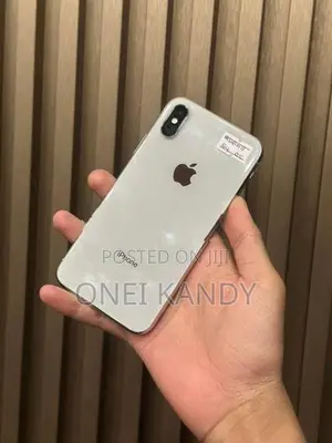 Apple iPhone X 256GB (Used)
