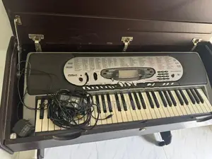 Casio Organ