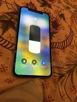 Apple iPhone X (Used)