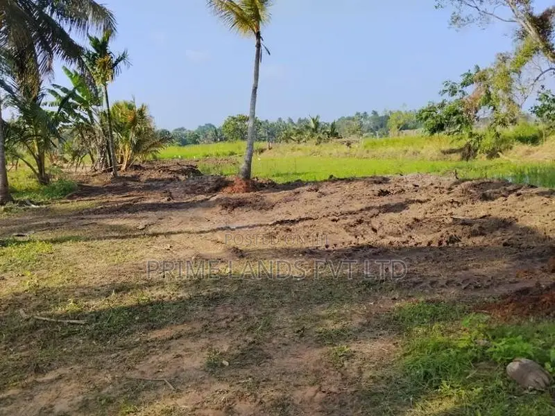 අනුරාධපුරයෙන් සින්නක්කර බිම්කොටස්