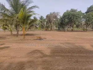 අනුරාධපුරයෙන් සින්නක්කර බිම්කොටස් නාච්චාදූව පාරෙන්