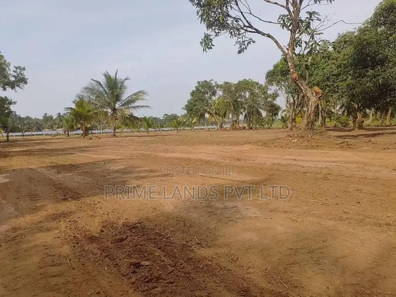අනුරාධපුරයෙන් සින්නක්කර බිම්කොටස්