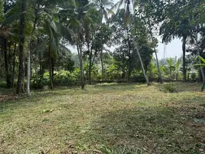 ගම්පහ - යක්කලින් වටිනා නේවාසික ඉඩමක් / DU 10906