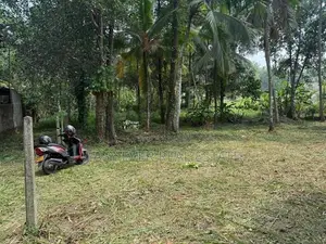 ගම්පහ - යක්කලින් වටිනා නේවාසික ඉඩමක් / DU 10906