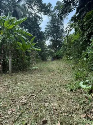ගම්පහ - යක්කලින් වටිනා නේවාසික ඉඩමක් / DU 10906