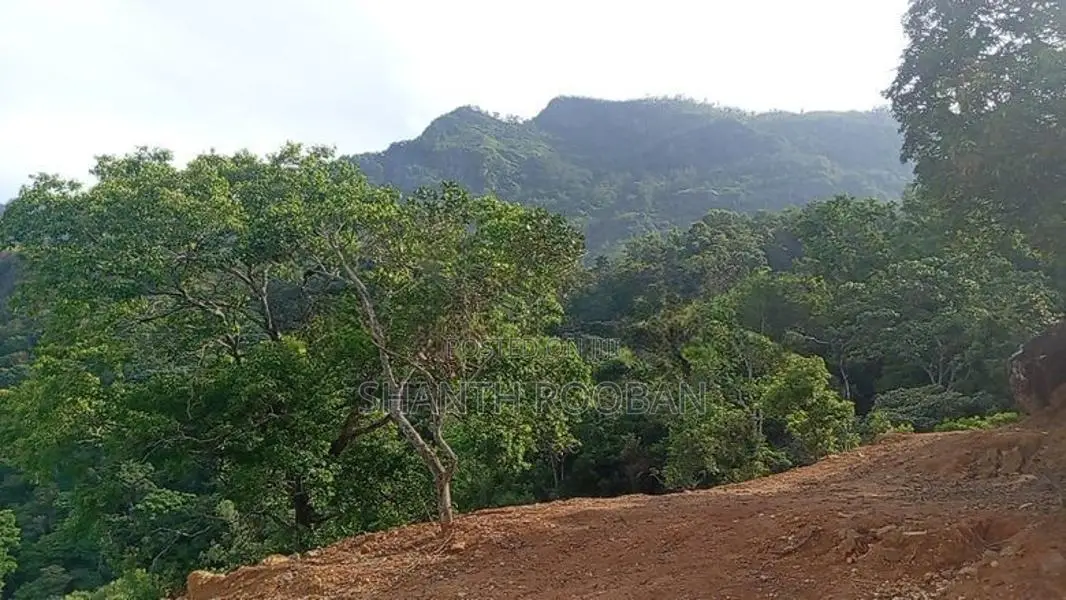 110 Perch Land for Sale in Beragala, – Scenic Location with Clear Titl