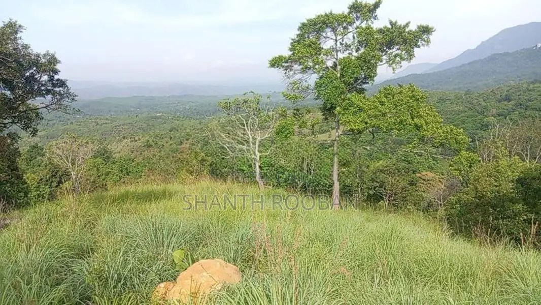 110 Perch Land for Sale in Beragala, – Scenic Location with Clear Titl