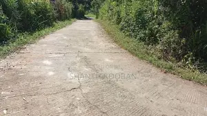 110 Perch Land for Sale in Beragala, – Scenic Location with Clear Titl