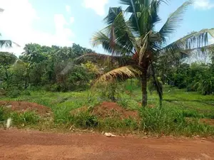 Land For Sale in Kottawa