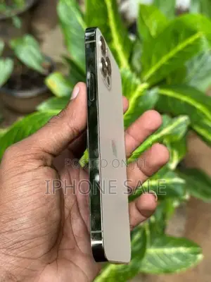 Apple iPhone 12 Pro 256GB (Used)