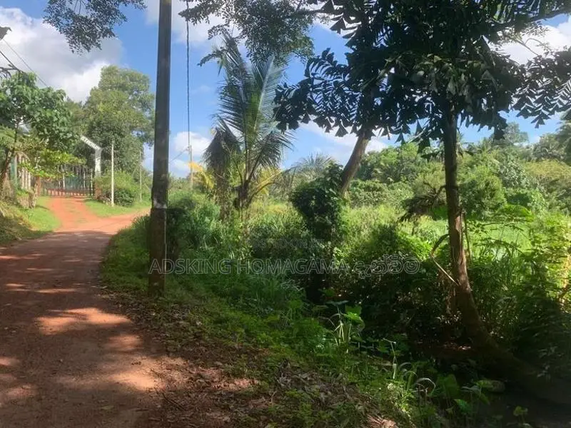 Land For Sale in Kottawa