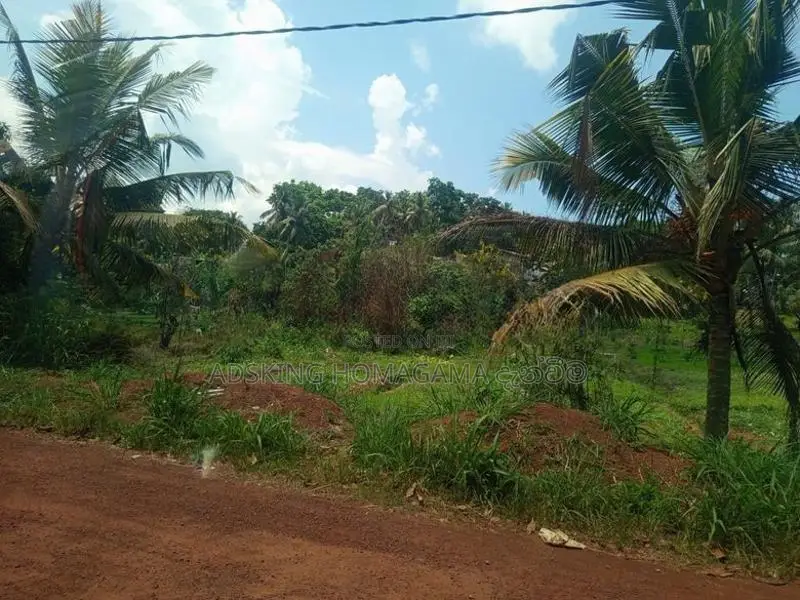 Land For Sale in Kottawa