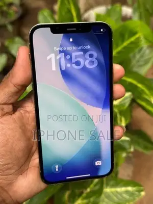 Apple iPhone 12 Pro 256GB (Used)