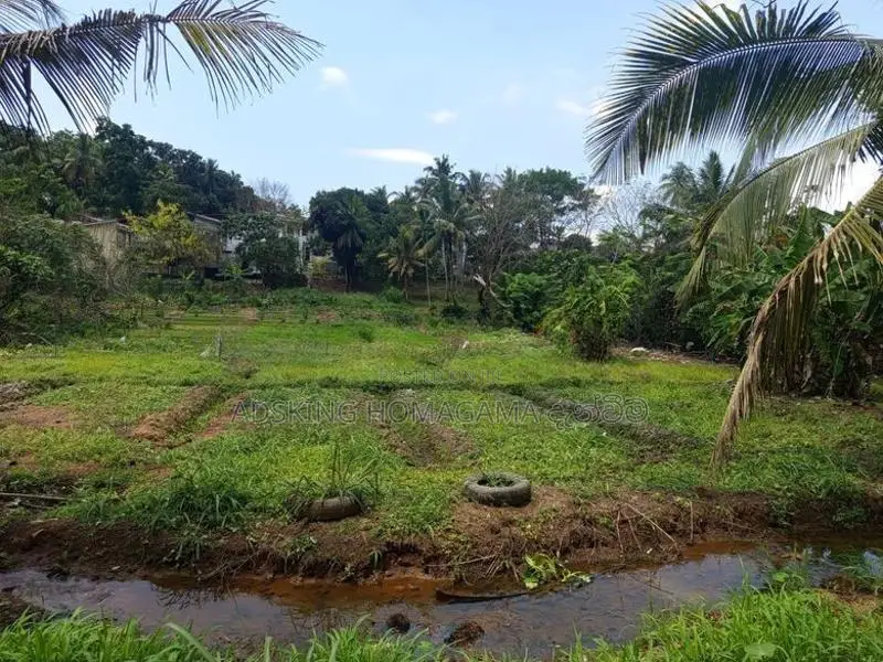 Land For Sale in Kottawa