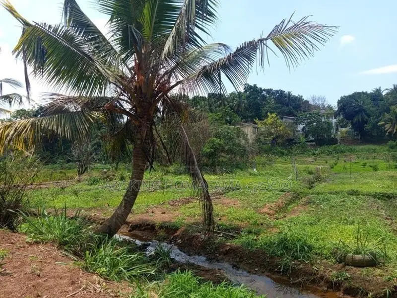 Land For Sale in Kottawa