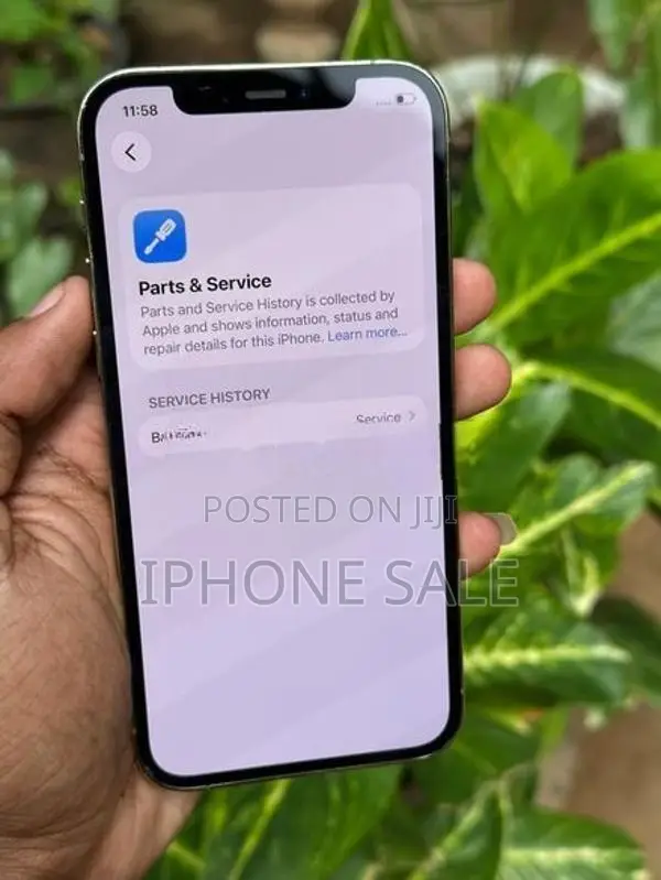 Apple iPhone 12 Pro 256GB (Used)