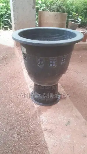 ප්ලාස්ටික් පොච්චි සහා දැල