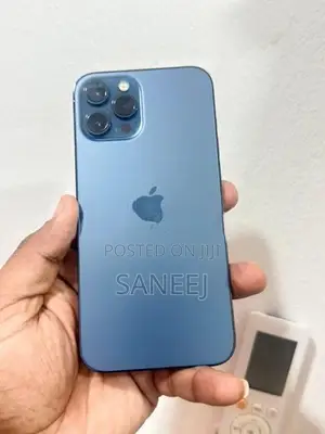 Apple iPhone 12 Pro Max (Used)
