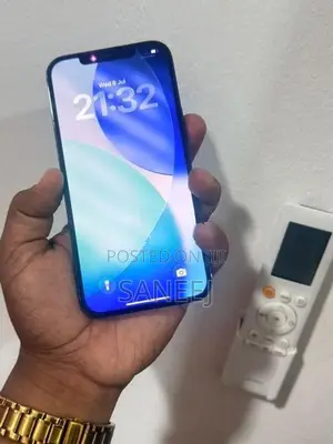 Apple iPhone 12 Pro Max (Used)