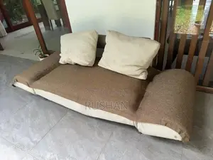 Sofa Bed/Couch