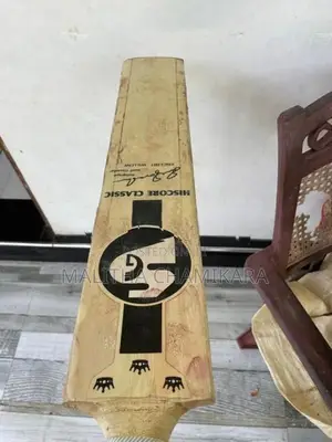 Cricket Bat