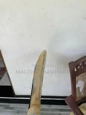 Cricket Bat