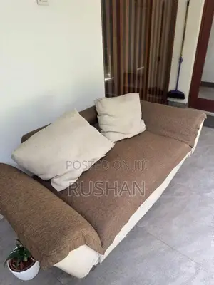 Sofa Bed/Couch