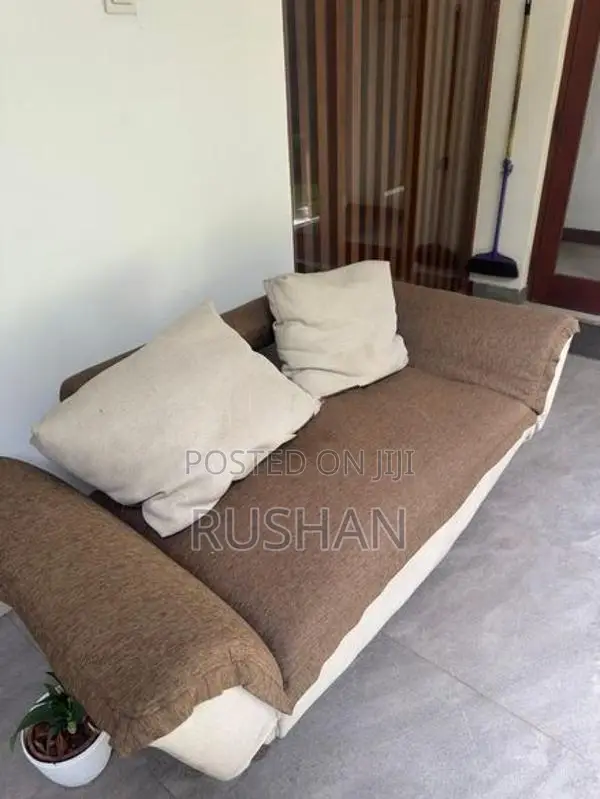 Sofa Bed/Couch