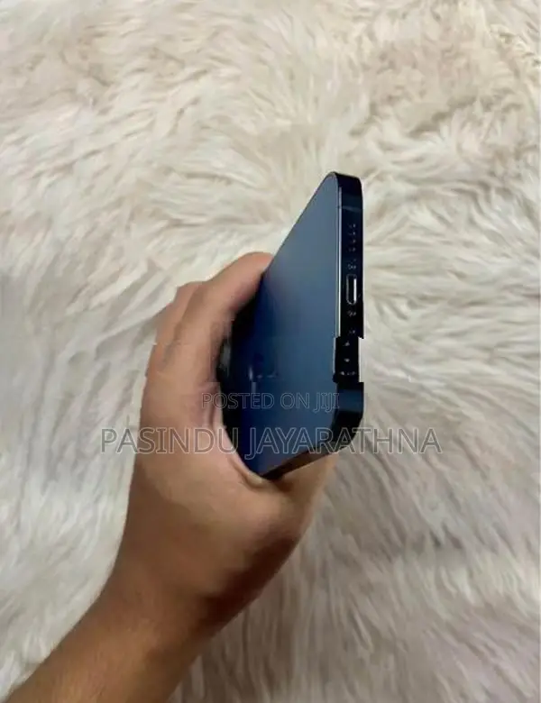 Apple iPhone 12 Pro Max 256GB (Used)