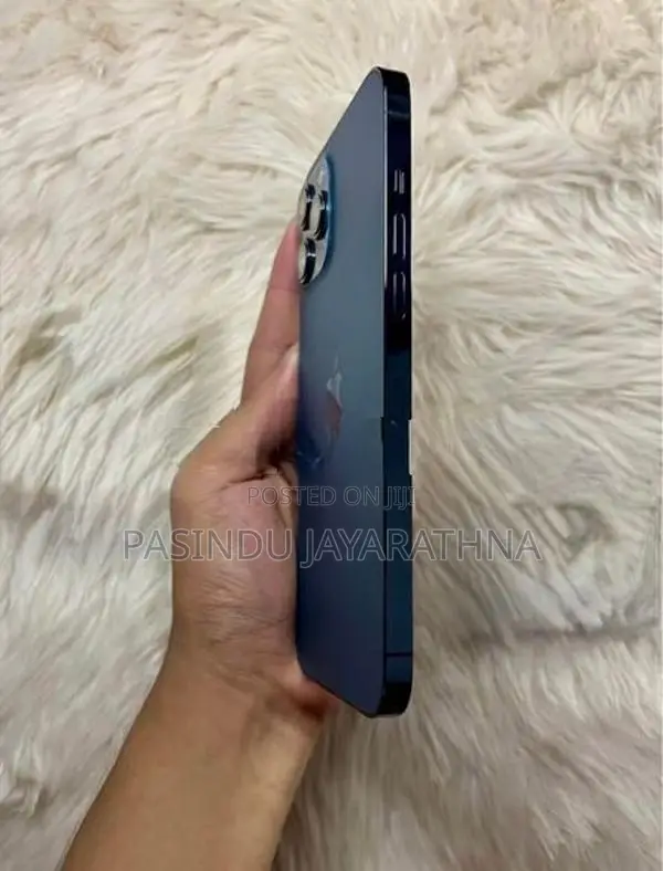 Apple iPhone 12 Pro Max 256GB (Used)