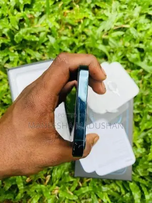 Apple iPhone 12 Pro (Used)