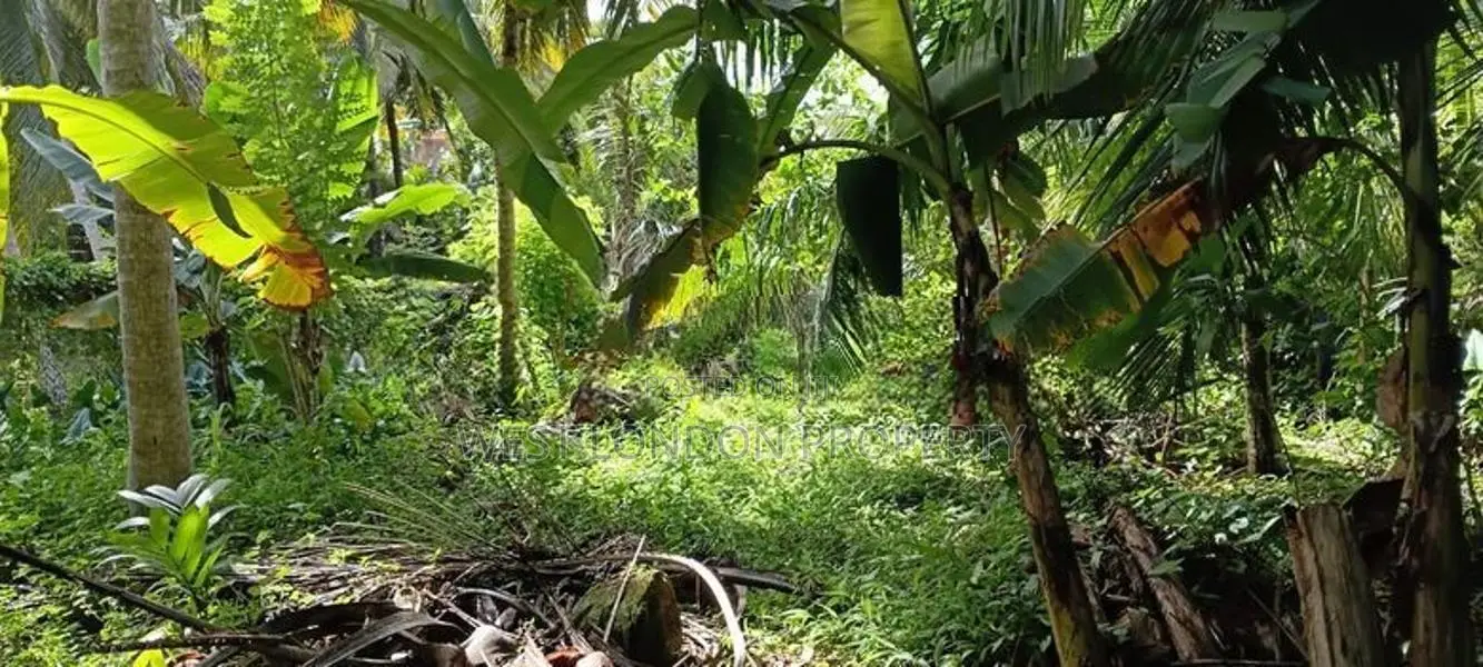 Prime Land for Sale Near Galle Town