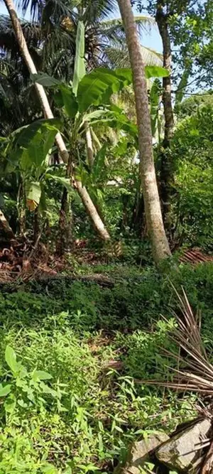 Prime Land for Sale Near Galle Town