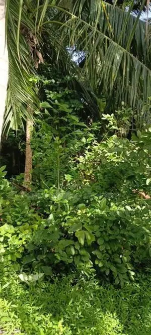 Prime Land for Sale Near Galle Town