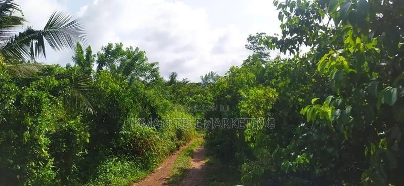 Land for Sale – Karandeniya