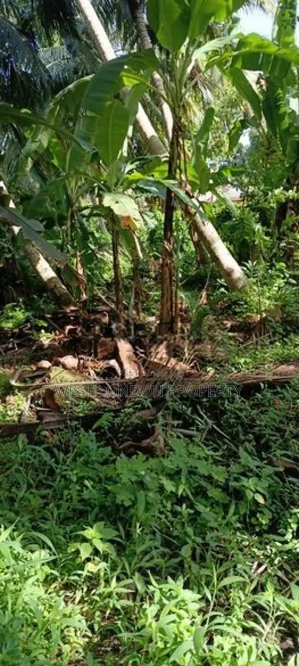 Prime Land for Sale Near Galle Town