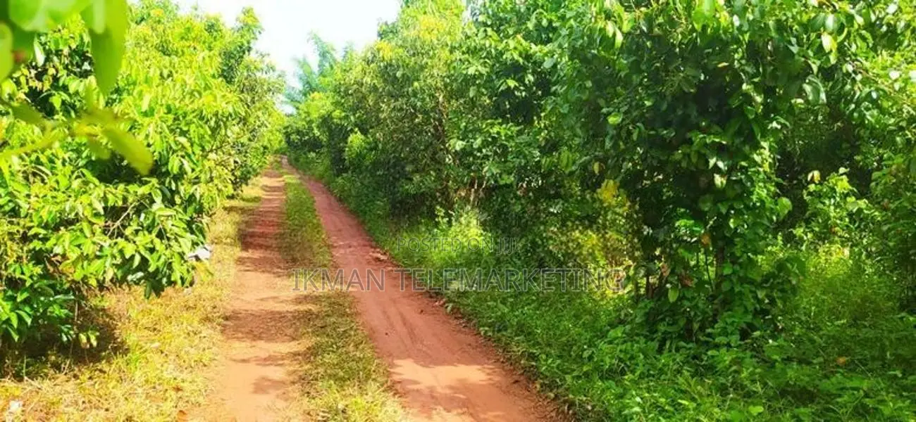 Land for Sale – Karandeniya