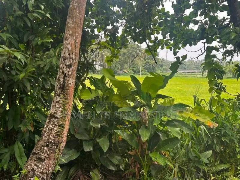 Land with Small Unit for Sale – Kadawatha