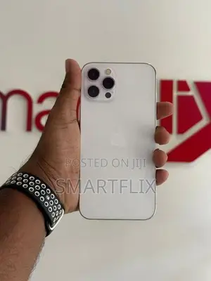 Apple iPhone 12 Pro Max (Used)