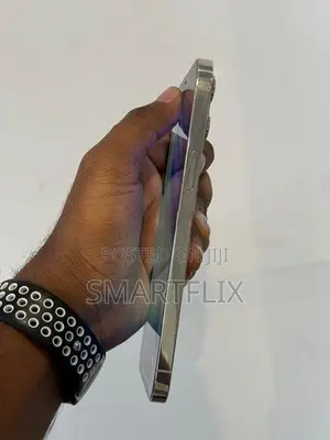 Apple iPhone 12 Pro Max (Used)