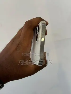 Apple iPhone 12 Pro Max (Used)
