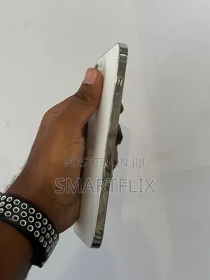 Apple iPhone 12 Pro Max (Used)