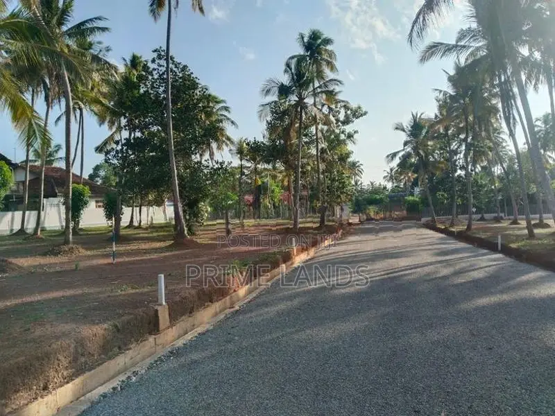 මීගමුව දoකොටුවෙන් නේවාසික බිම්කොටස්